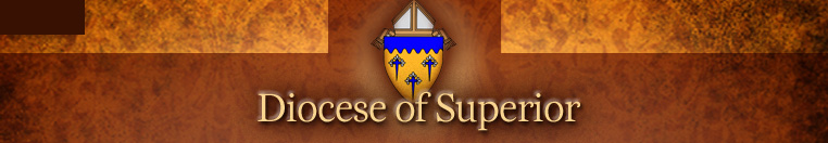 Logo Diocese Superior