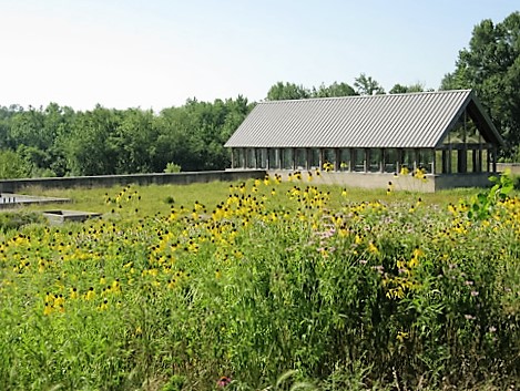 Oaklyn Library roof garden